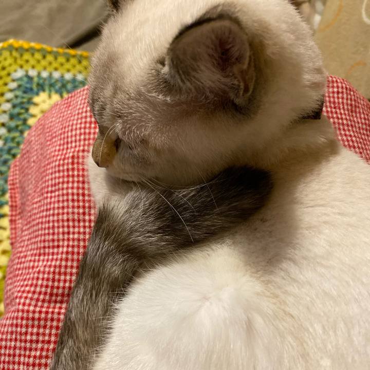 B87c9e60 038c 4f81 a12f d3f34fbe0c99 1638714151017