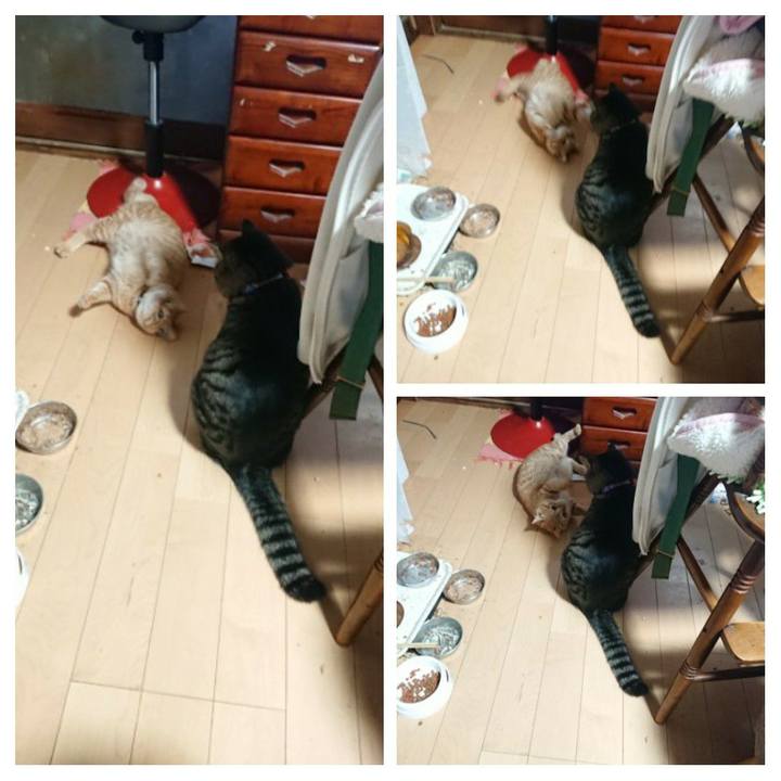 B87ca9b9 fcc3 41fa ba57 c395259f3482 1642034956084