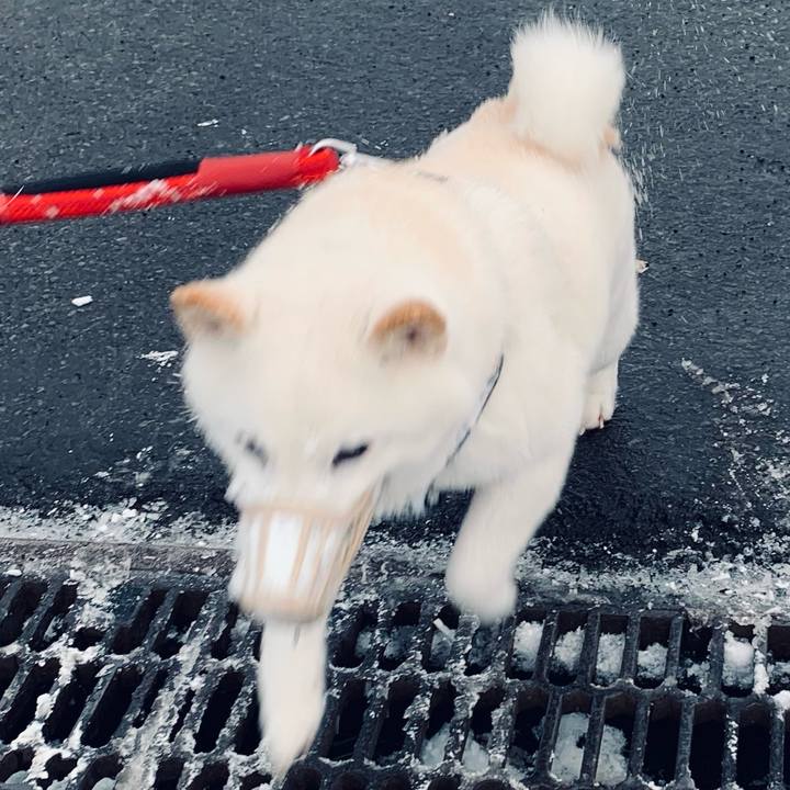 B87ccf30 7794 4b16 83bd 7d88182cac0f 1677364771105