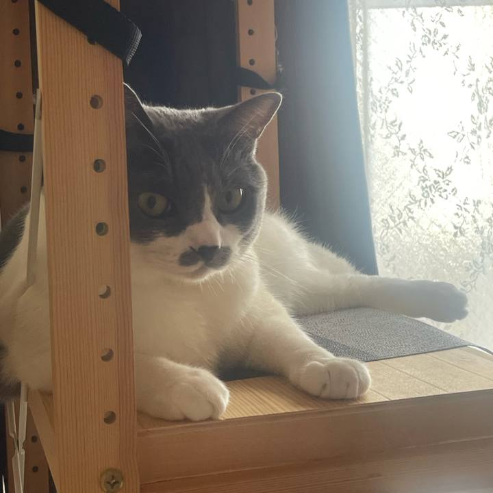 B87cde1c f3b9 43a3 84ad ec1dbde8e61e 1753400058839