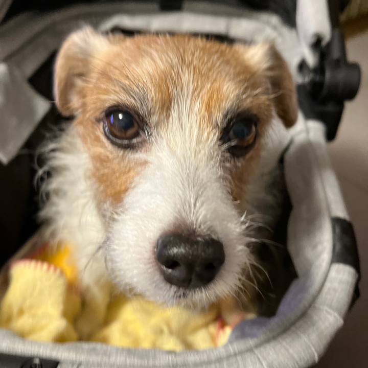 B87ce401 f4b3 410a 9c24 27b576208469 1730952732666