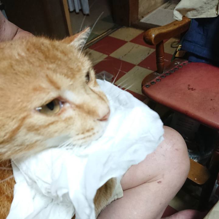 B87d2ba1 b335 428a 8497 d774a1f0f9ea 1595672091024