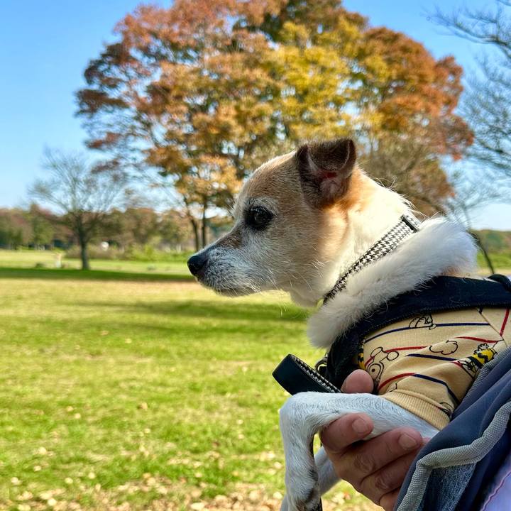 B87d513e 2e50 4377 ba91 9da4f5fb5660 1668226231556