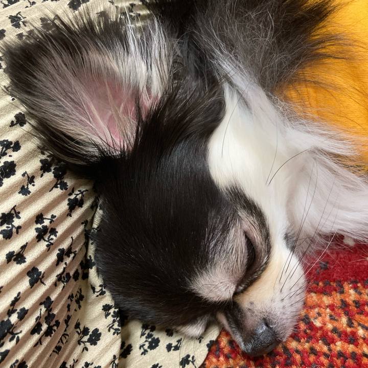 B87d6560 775c 4a1b 92bf d6d4bda8d906 1679238839204