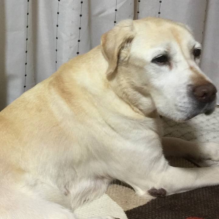 B87da331 7664 49d1 a6a0 6781e7eae510 1520636398192