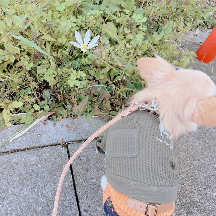 B87dc1b2 ecc0 4f9b 9585 a9262c0a628a 1666345715419