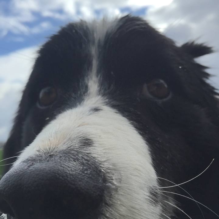 B87dc698 0750 45c5 acd0 df1ab2cebcb0 1521678141337