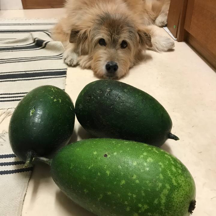 B87ddd1d 04d2 42bf a11d e494f8fdc9b1 1634801504029