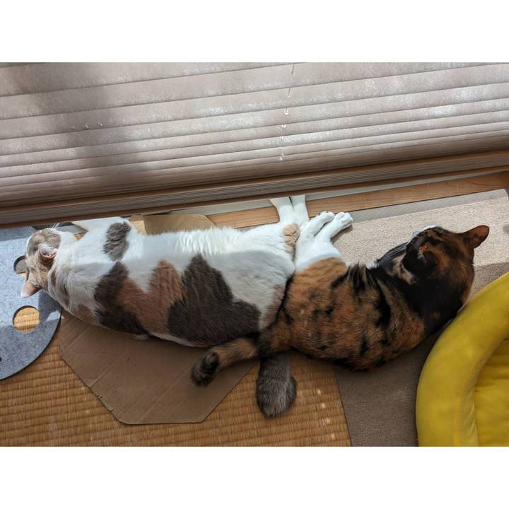 B87ddfc6 8dcf 41f9 9901 bed73253cfb6 1717042387561