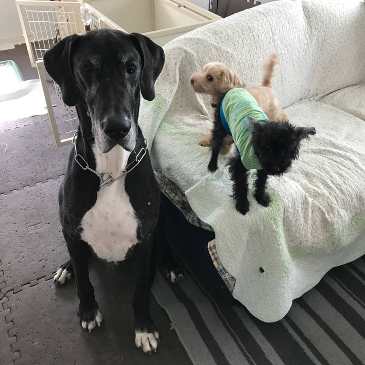 B87e34de 1504 4859 a382 8dd80578b141 1526943581666