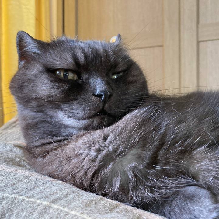 B87e6fd4 03ce 47bb 8a71 c876e1e9ffca 1590631319262