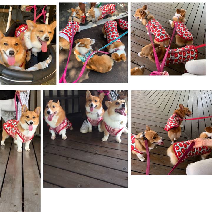 B87eec07 e02e 401b 8ea2 ce5085dcbde2 1565504789733