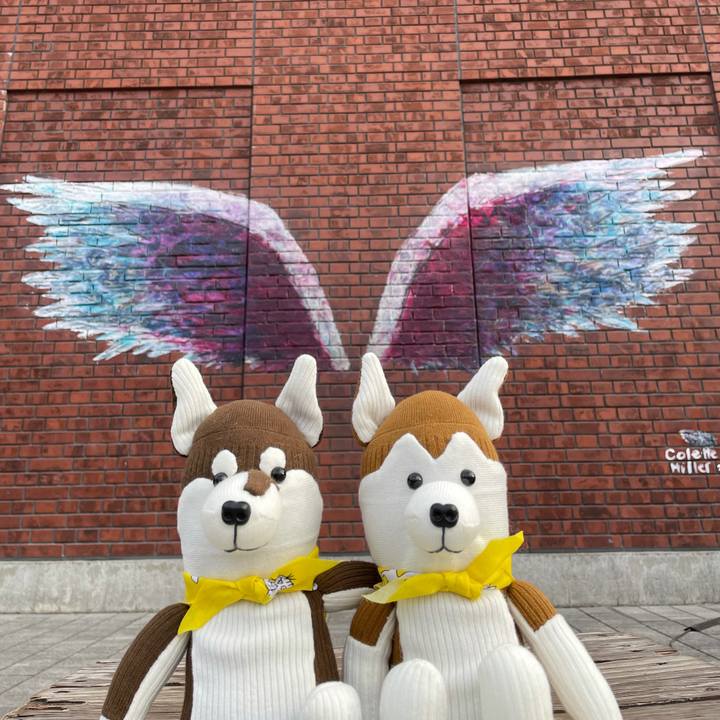 B87f2c2a 4e73 46db 8d90 bdf7fa696009 1640948757191