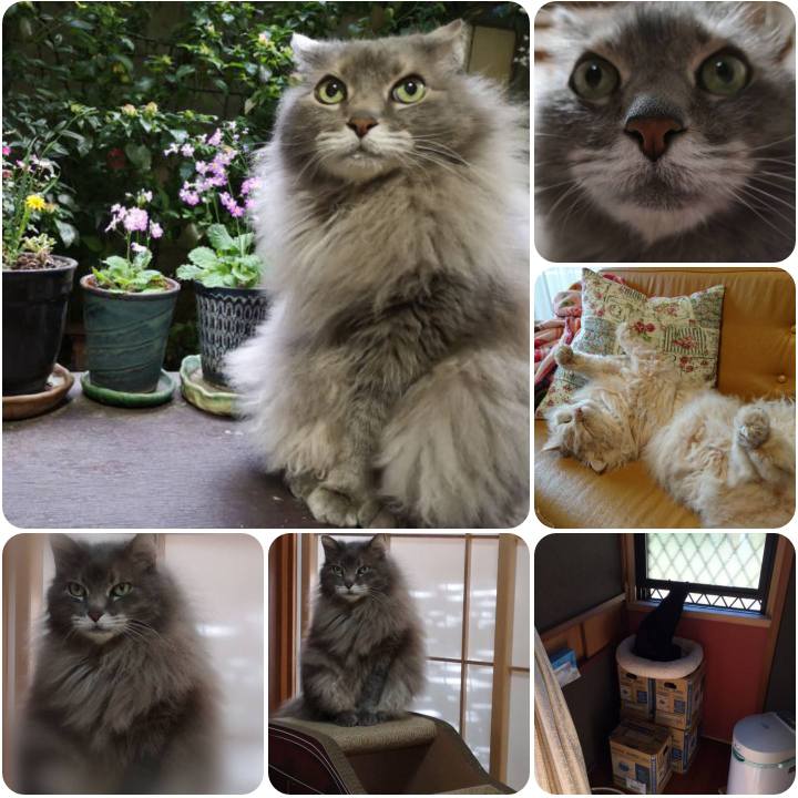 B87f2db8 b452 48d5 8076 07f7f0c406aa 1557221609446