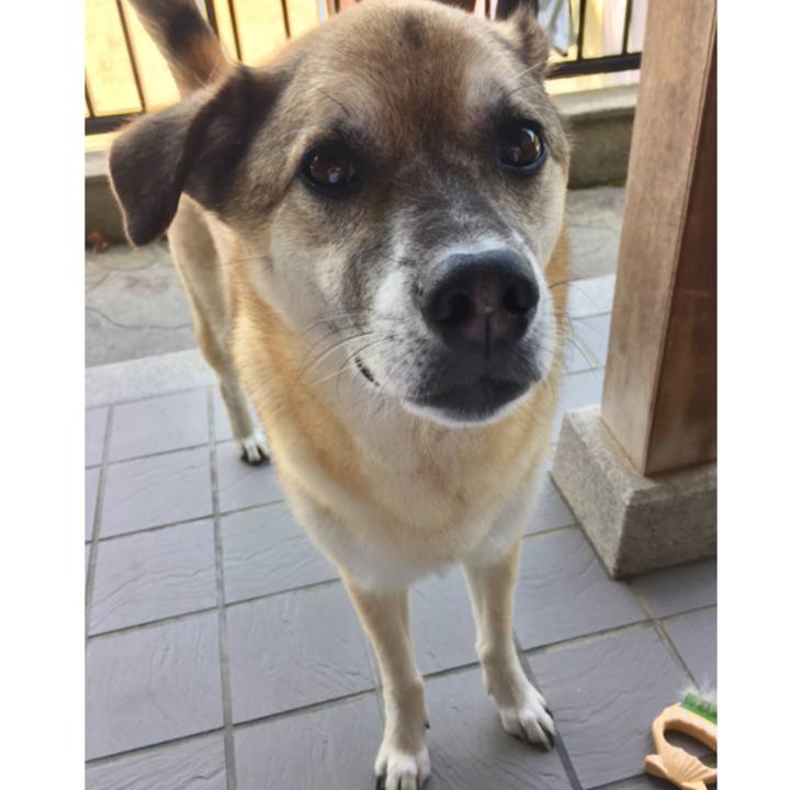 B87f759c bebd 4f9c 9ef8 7cc5a174bfc1 1530417623163