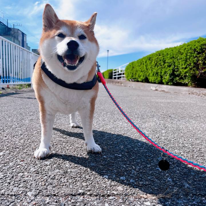 B87fad9a 45d0 40e8 be9a 94e34ec8709d 1698032682604