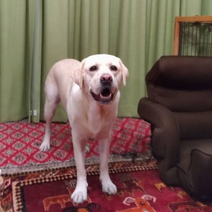 B87fd629 4f23 49f3 92b1 a2181c500133 1538229952815