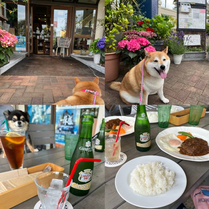 B8801e9d 3559 440e 9c23 b22de772966d 1654423617901