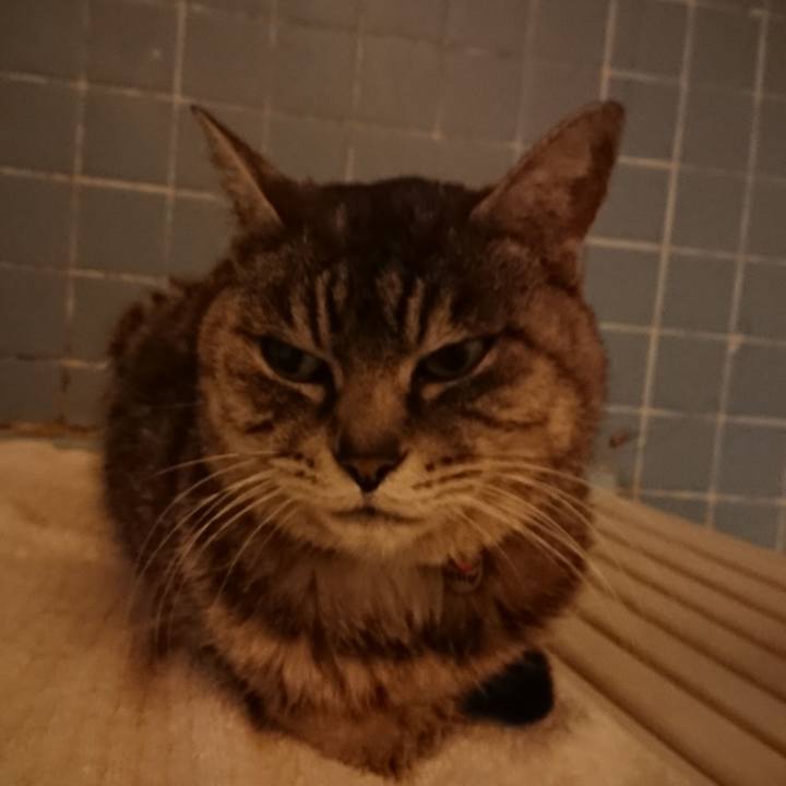 B880321d 81d0 4774 b7a5 cdd60785694f 1581414358738