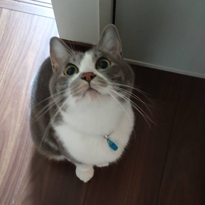 B8804315 ca45 4fbc b83b 9d54fe7eab2c 1657836071517