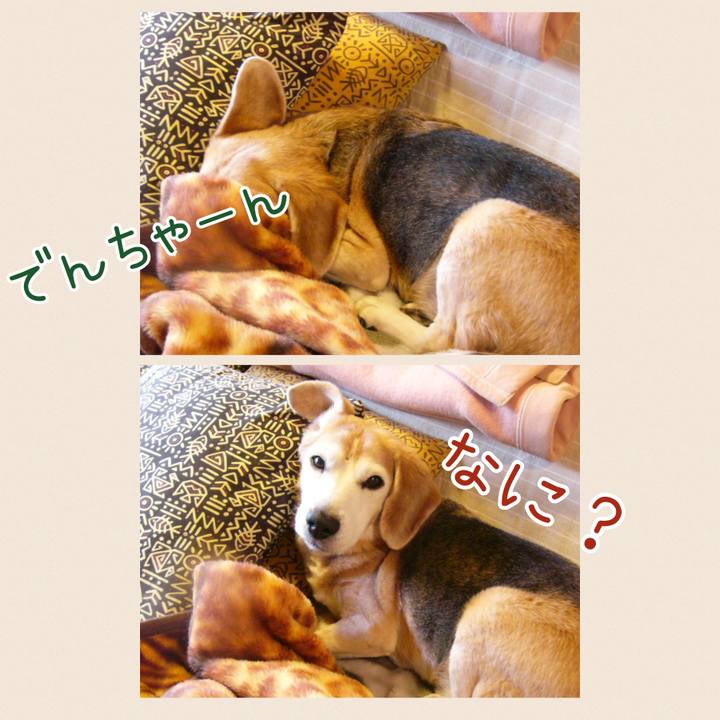 B8808b00 408d 42bf b4d3 19fd96a2c402 1676165919372