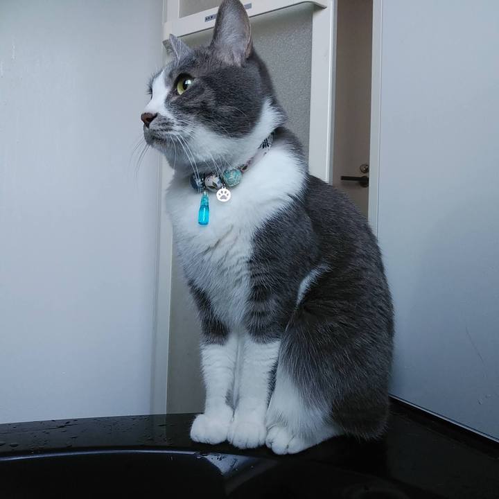 B8809be8 8b26 4563 af71 39113a623a19 1673349150064