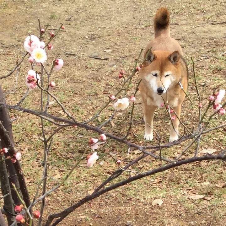 B880b66c 27fb 4f9c bfa8 699de0ea6383 1613113336339