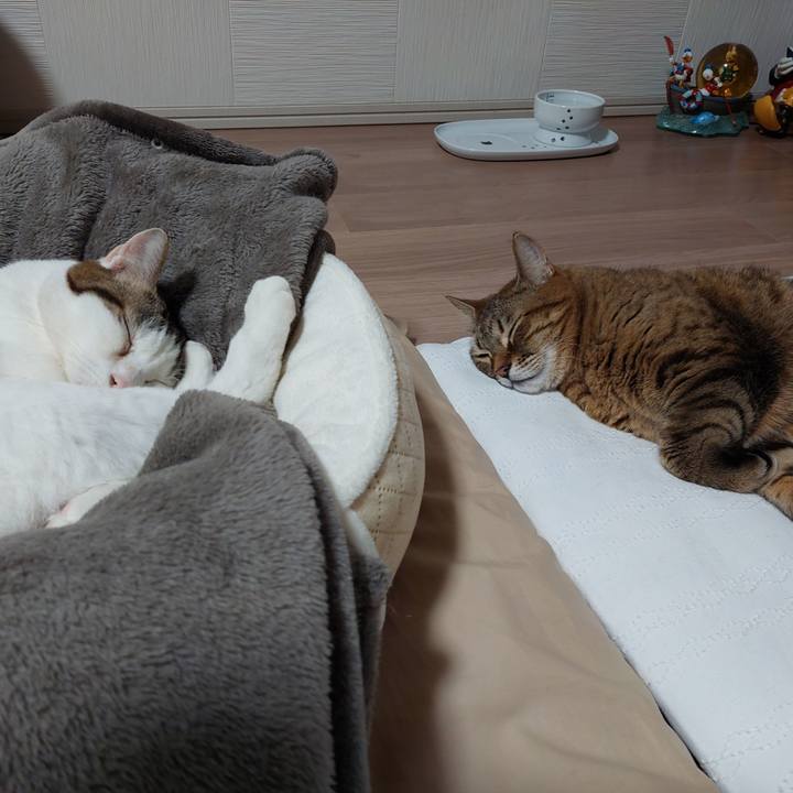 B880d2d9 d816 42af 839d 5a3cafe9b81d 1647781113250