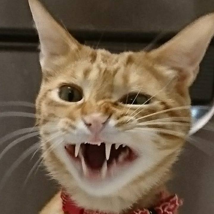 B880d85f 5952 41fd ad1e b4272d2628ca 1519456471885