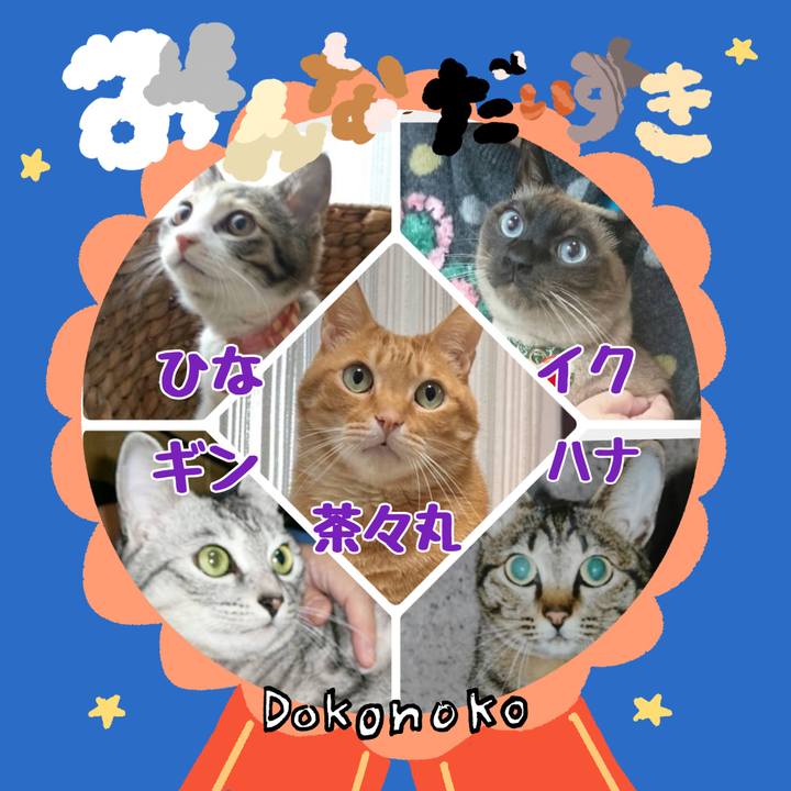 B8816a9e 53c5 4df4 83d3 b9e95cbeb50c 1780751934612