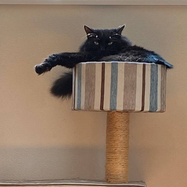 B881875f 0afa 49a5 bb17 66f62dc96bba 1629415777822