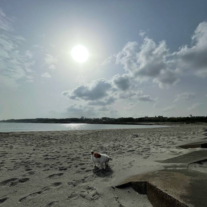 B881e31e 41e6 4be8 aa9b 4ca38ff7c293 1684718601859