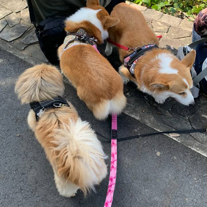 B8822bdb d618 419a a669 cb1578ee62c9 1634523614854