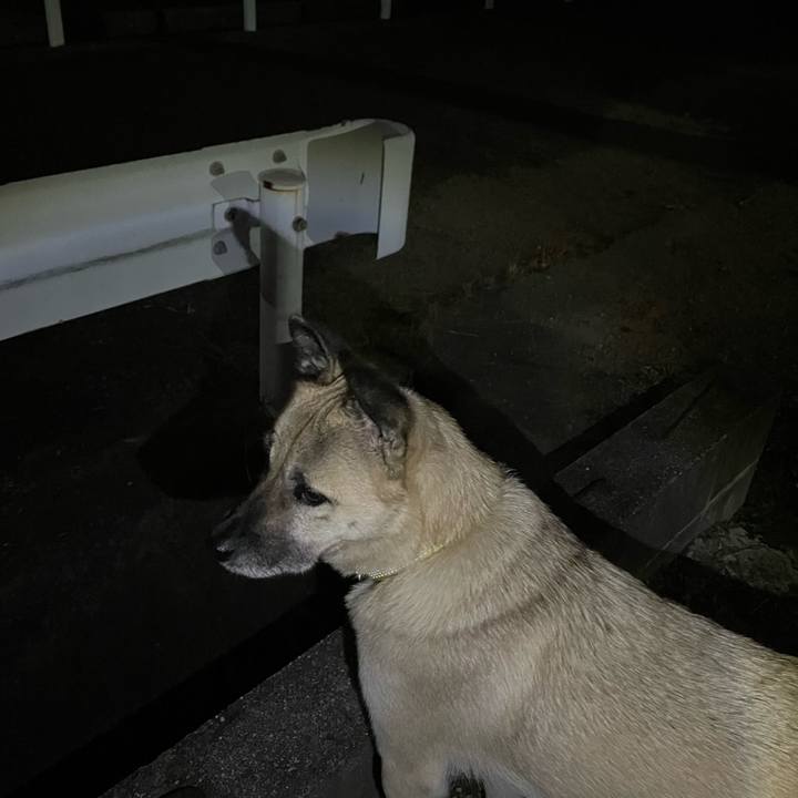 B88230cd f6b8 414f 958f d1b4c9d97ace 1639399644780