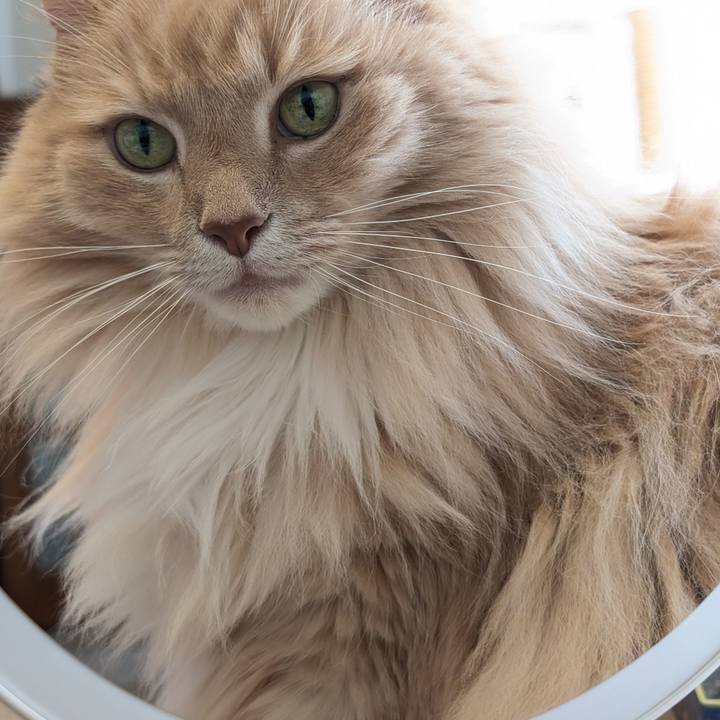 B8823889 9e81 418d b036 92cad78374bc 1747815603077