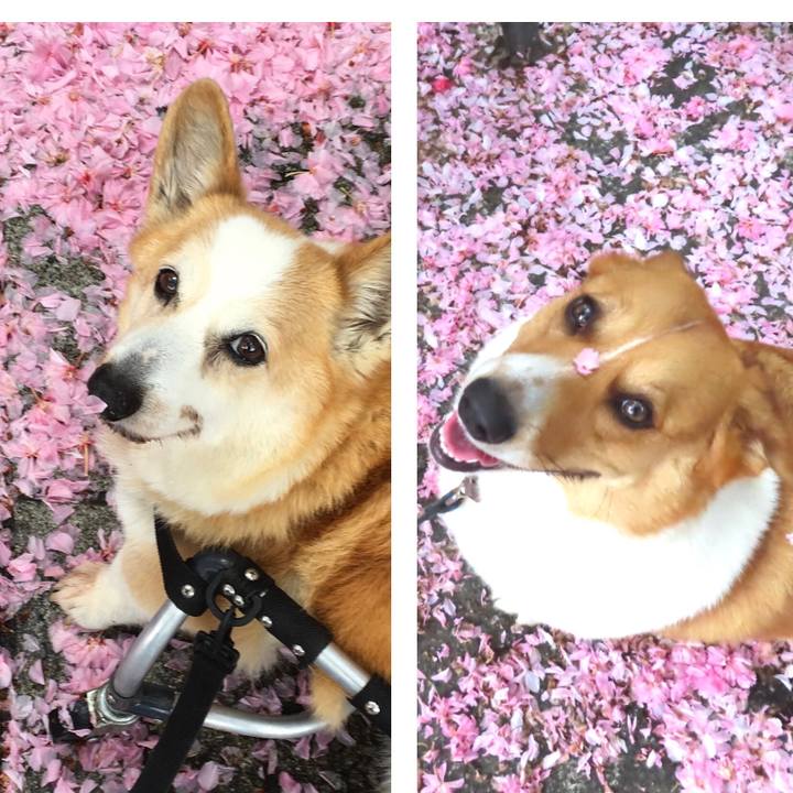 B882685d 6fdf 4d79 b1a8 c951391b11bb 1650841920995