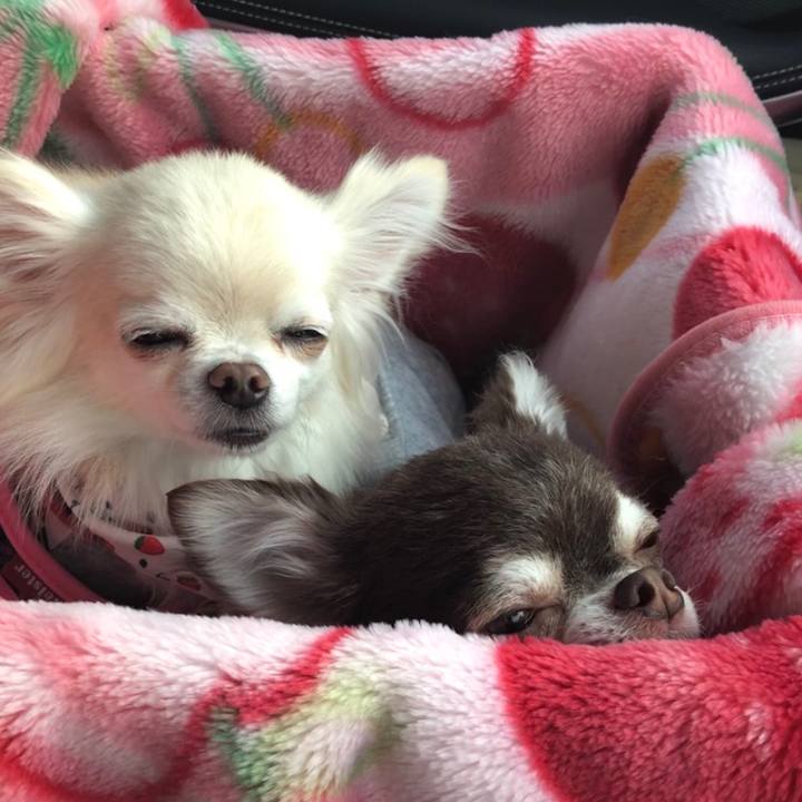 B8828e72 8297 42e8 af69 0a32cab46e26 1550826350530