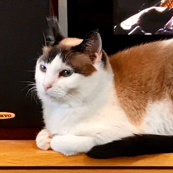 B882a8cc c3c4 4f69 ac58 811a9a02b6e6 1547466343438