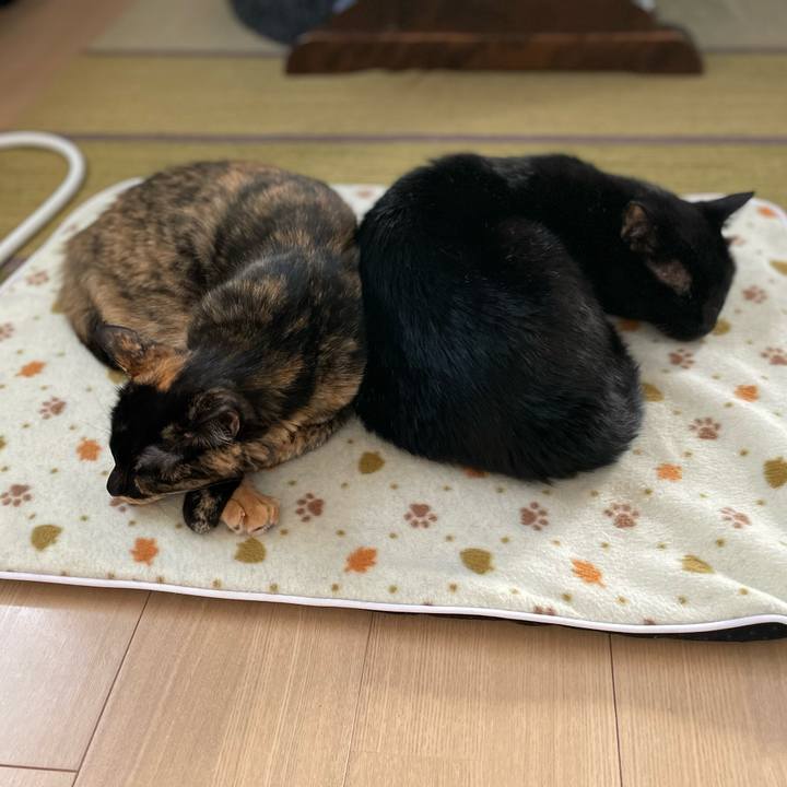 B882d866 4fe8 4cc2 85be 1f08dcd4704e 1667007400007