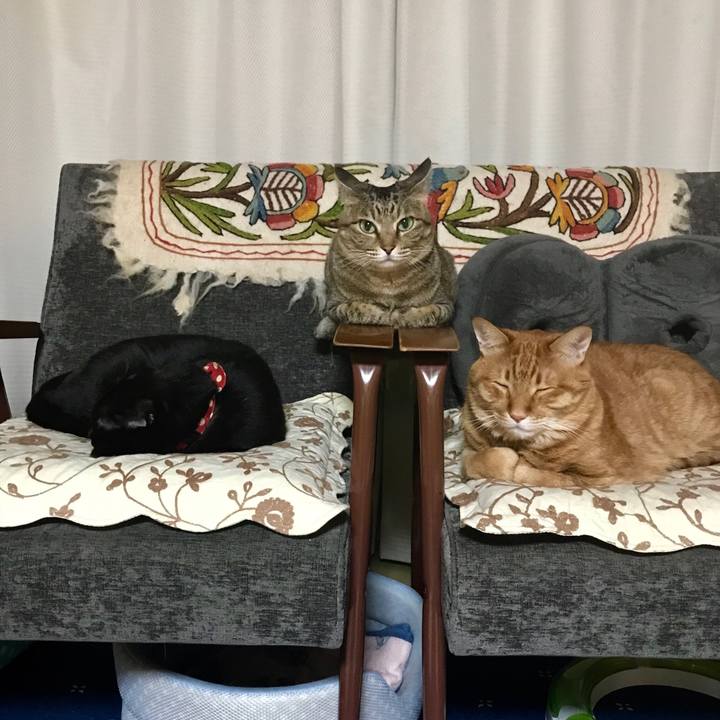 B882f552 a86b 4934 8910 762c923cd11e 1526903680927