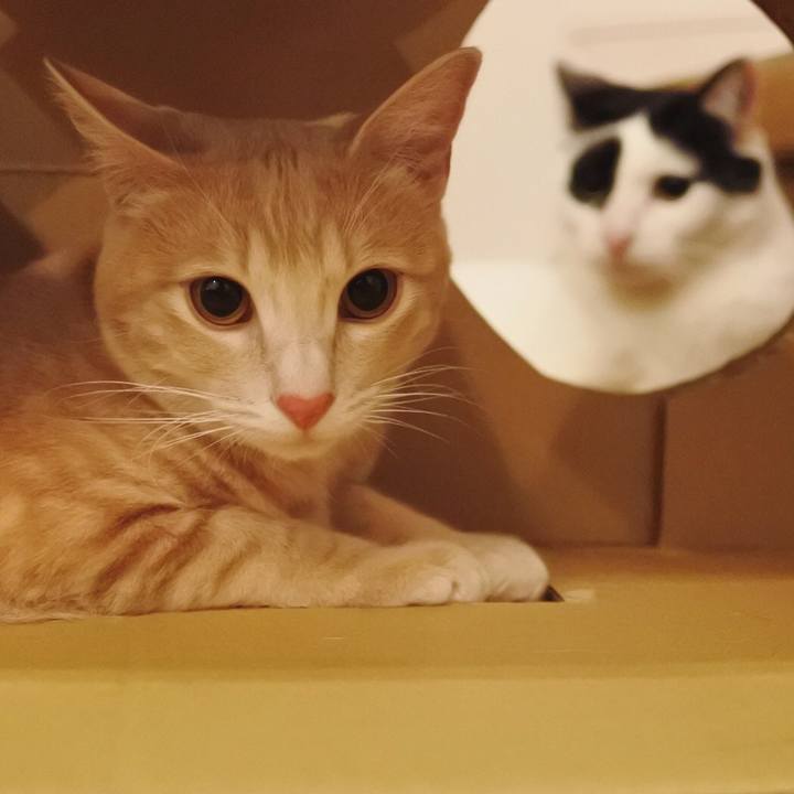 B882f747 97a6 42d3 aca3 4d14511d593a 1559641520133