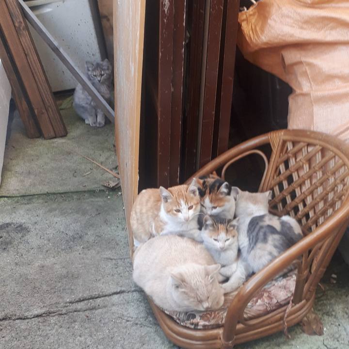 B883082b 3354 4a9d b9e6 7a5463fd4df8 1604565745872