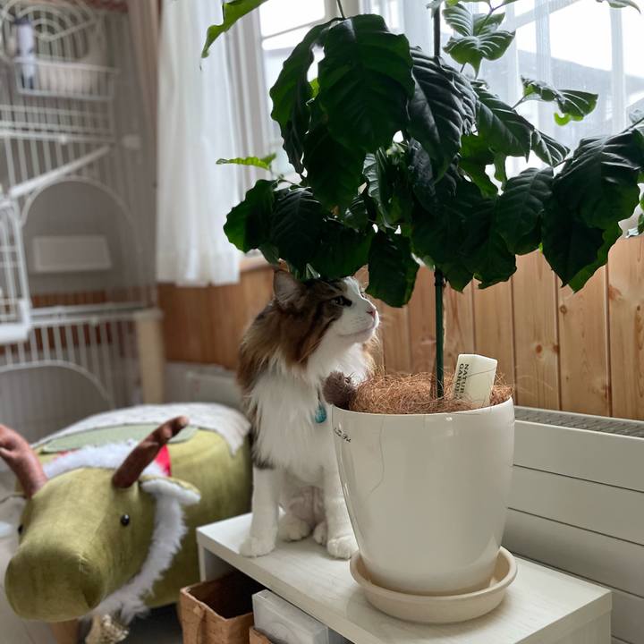 B8834f1c bea3 400f b277 b075b0de0dbc 1721159319497