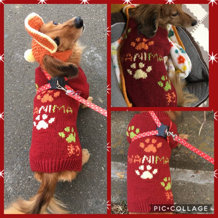 B883bf32 986f 49b6 9c0f 0149ae9ac641 1517737471655