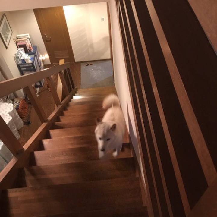 B883fc15 acca 4145 9bab 53f131ff555d 1647272788751