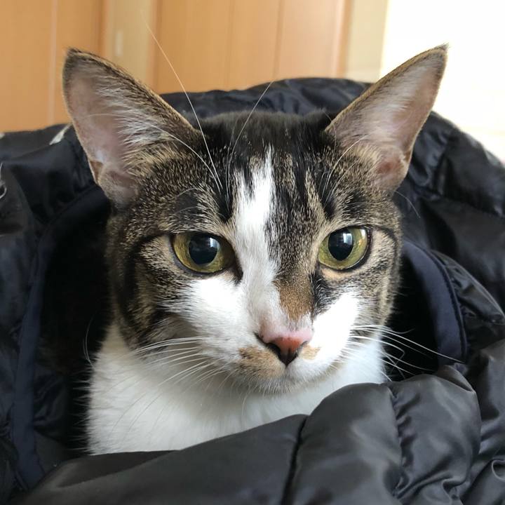 B883ff93 cbea 4956 b18e 7f10c9989c67 1516333576013