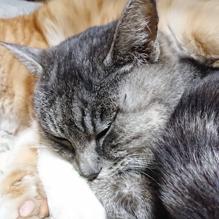 B8843206 f7d4 42b6 b83b 5b255f719130 1579697467739