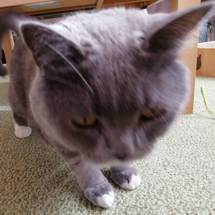 B8844597 f9d8 4859 b8b5 bbfefce603d8 1644152207055