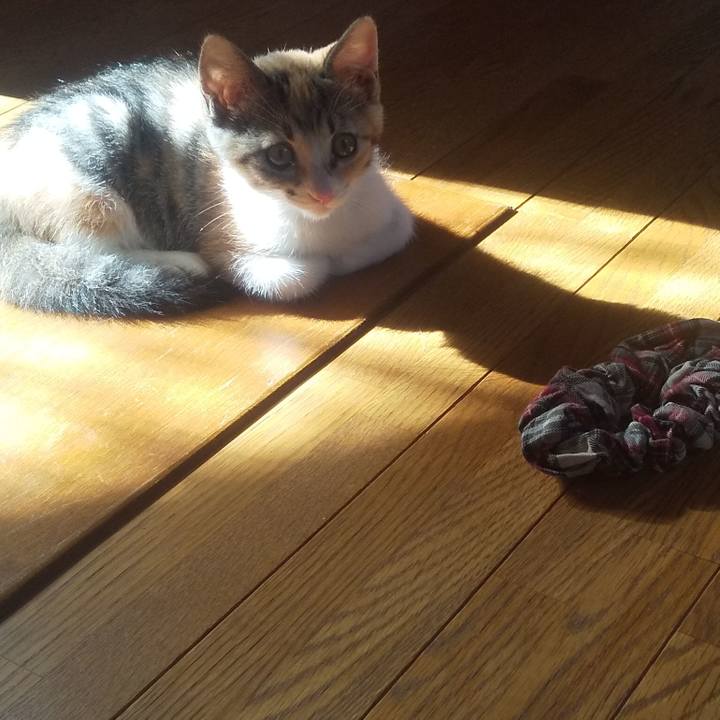 B884835d ca44 4157 afba 7f1838795bc2 1722120175292