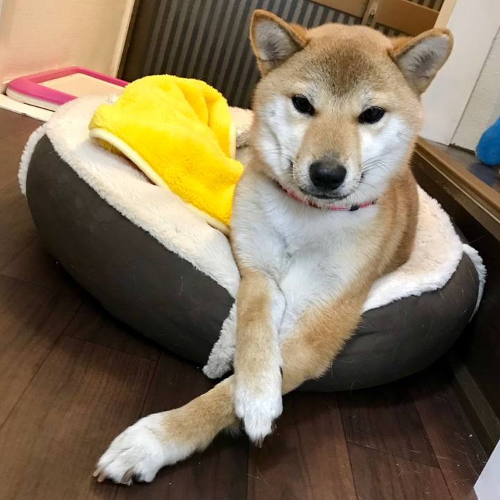 B8848661 53c3 434f a08b 5c6c43a4d56a 1515847224853